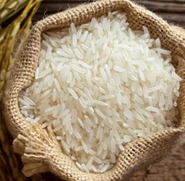 معرفی برنج خوشپخت شیرودی + بهترین قیمت خرید