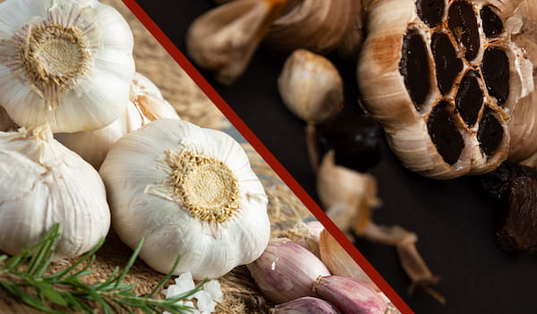 تصویر 2 از خرید و قیمت سیر سیاه ارگانیک + فروش صادراتی