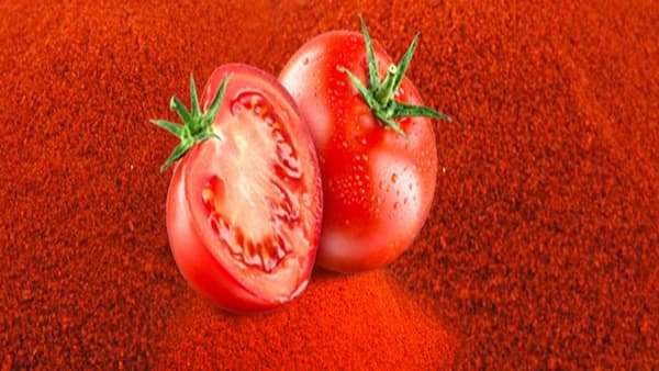 تصویر 4 از قیمت روز پودر گوجه عمده