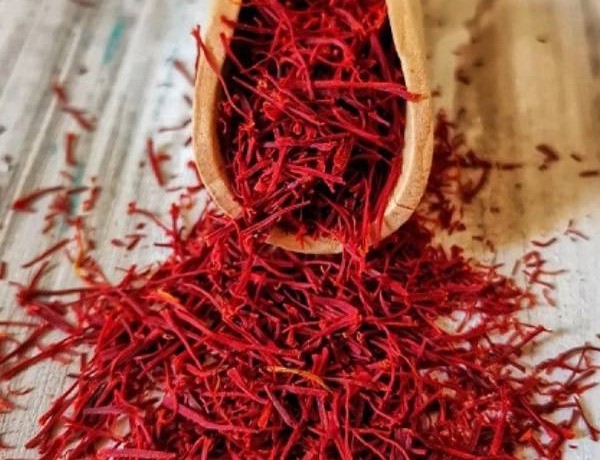 تصویر 2 از قیمت خرید زعفران نگین درجه یک با فروش عمده