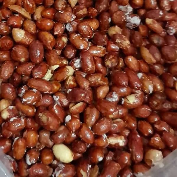 تصویر 2 از قیمت بادام زمینی برشته نمکی + خرید باور نکردنی