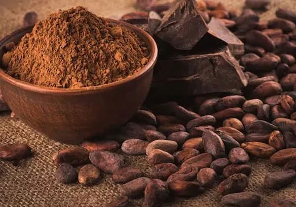تصویر 1 از قیمت خرید هسته خرما پودر شده با فروش عمده