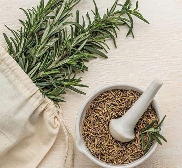 قیمت خرید گیاه آویشن خشک شده عمده به صرفه و ارزان