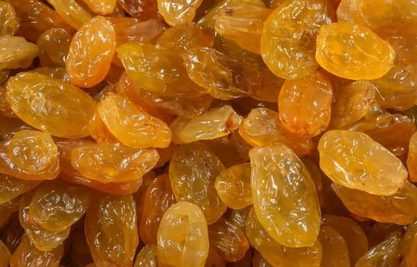 تصویر 4 از فروش کشمش طلایی تازه + قیمت خرید به صرفه
