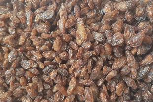 تصویر 1 از قیمت کشمش افتابی شیراز با کیفیت ارزان + خرید عمده