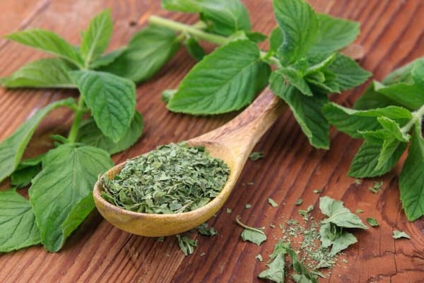 خرید پودر نعنا خشک + قیمت فروش استثنایی