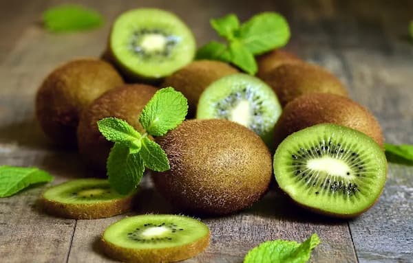 تصویر 1 از خرید و قیمت کیوی سبز + فروش عمده