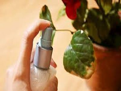 تصویر 5 از قیمت خرید آفت کش های ارگانوفسفره با فرش عمده