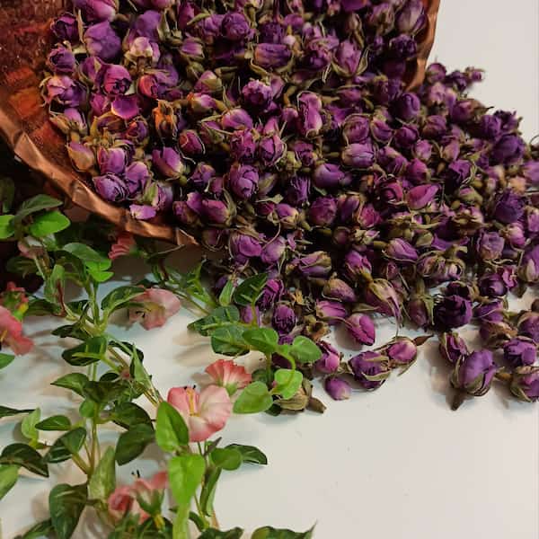 تصویر 2 از قیمت و خرید غنچه گل محمدی صادراتی + فروش ارزان