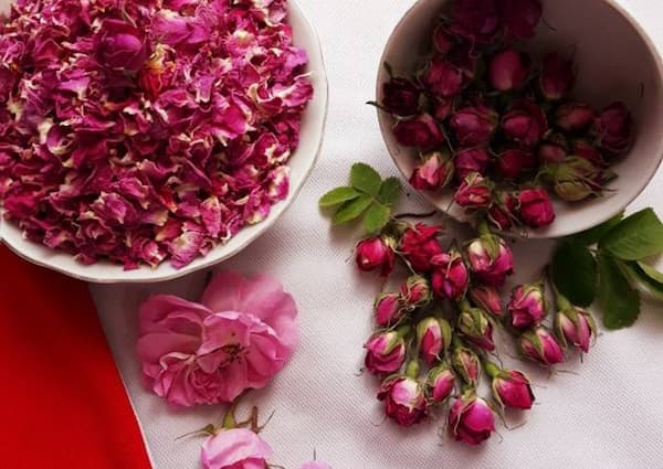 تصویر 3 از قیمت و خرید غنچه گل محمدی صادراتی + فروش ارزان
