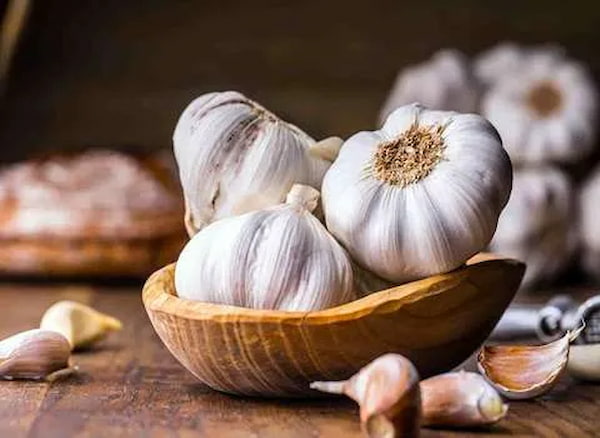 تصویر 4 از فروش سیر محلی همدان + قیمت خرید به صرفه