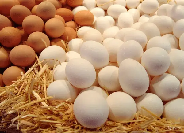 تصویر 2 از خرید تخم مرغ درجه یک + قیمت فروش استثنایی