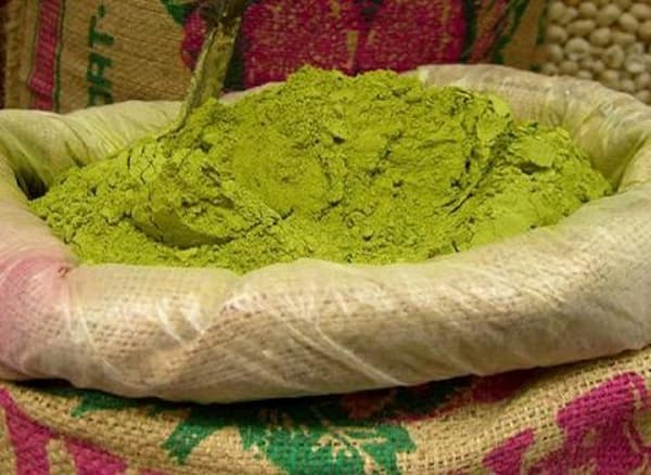 تصویر 1 از فروش حنای سبز تازه + قیمت خرید به صرفه