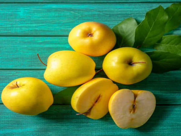 خرید سیب درختی زرد + قیمت عالی باکیفیت