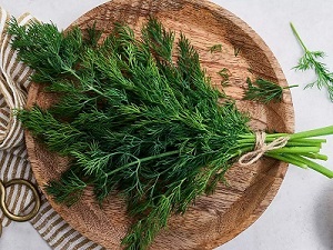 تصویر 5 از قیمت خرید سبزی شوید تازه + فروش ویژه