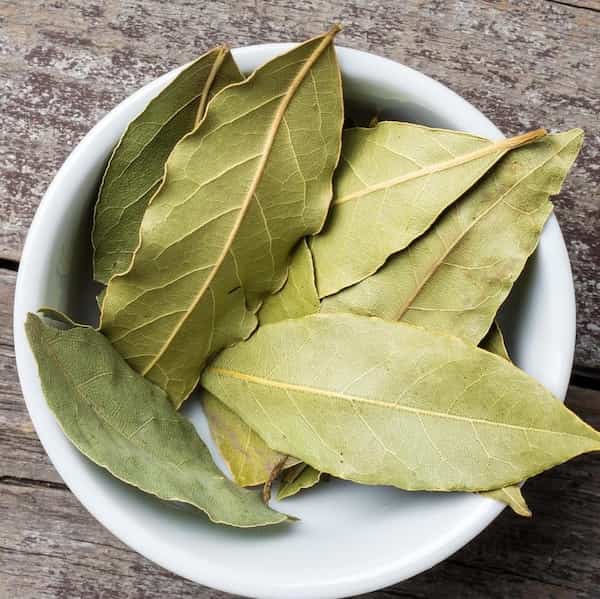 تصویر 4 از قیمت برگ حنا عمده + خرید باور نکردنی