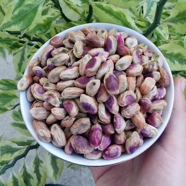 تصویر 5 از قیمت مغز پسته گلدار + خرید باور نکردنی