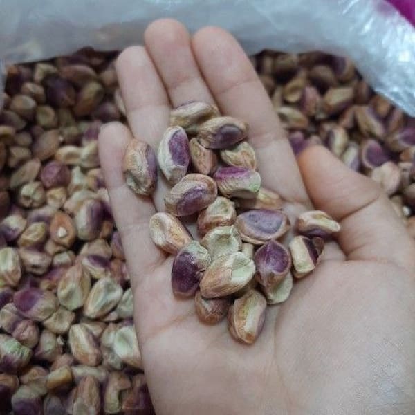 تصویر 2 از قیمت مغز پسته گلدار + خرید باور نکردنی