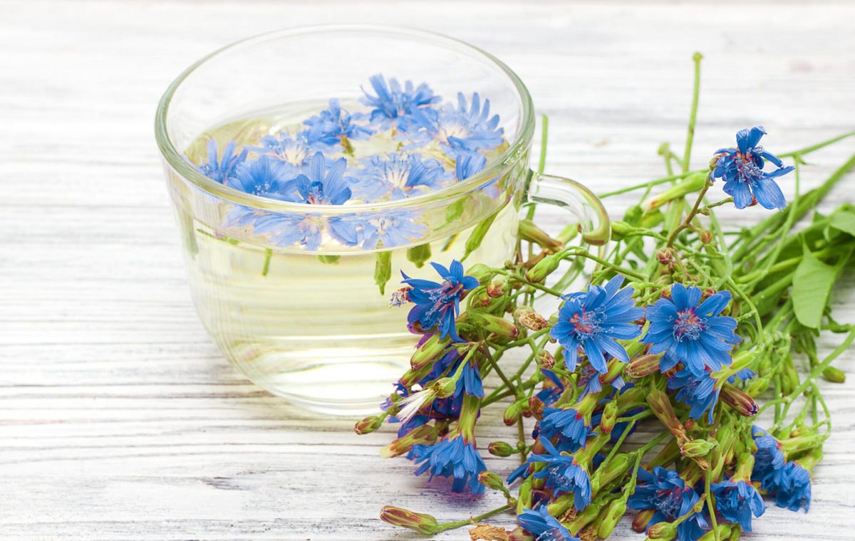 تصویر 2 از خرید و فروش شربت گیاهی کاسنی با شرایط فوق العاده