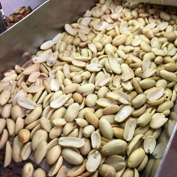 خرید و فروش بادام زمینی کره گیری با شرایط فوق العاده