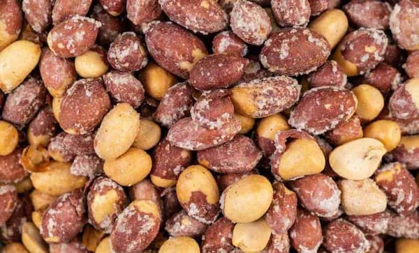 تصویر 3 از قیمت خرید بادام زمینی شور با فروش عمده