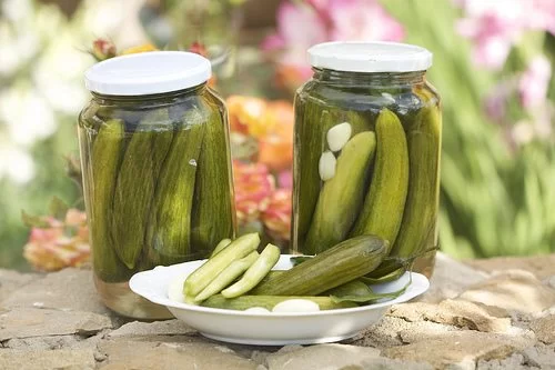 خرید خیار شور ویژه + قیمت فروش استثنایی