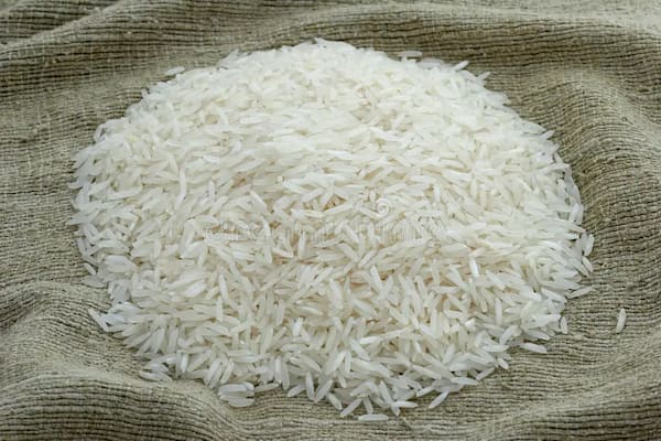 تصویر 3 از فروش برنج کامفیروز بردیا + قیمت خرید به صرفه