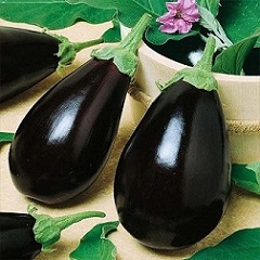 تصویر 2 از قیمت بادمجان دلمه ای شیرین با کیفیت ارزان + خرید عمده