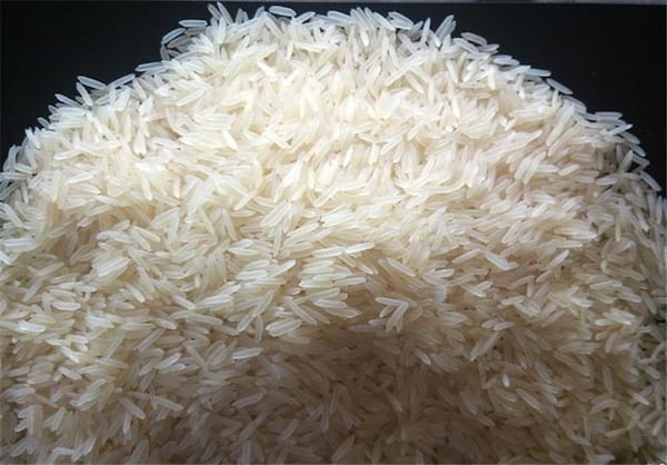 تصویر 4 از خرید و فروش برنج کامفیروزی درجه ۱ با شرایط فوق العاده