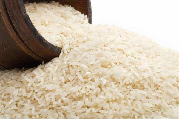 تصویر 5 از خرید و فروش برنج کامفیروزی درجه ۱ با شرایط فوق العاده