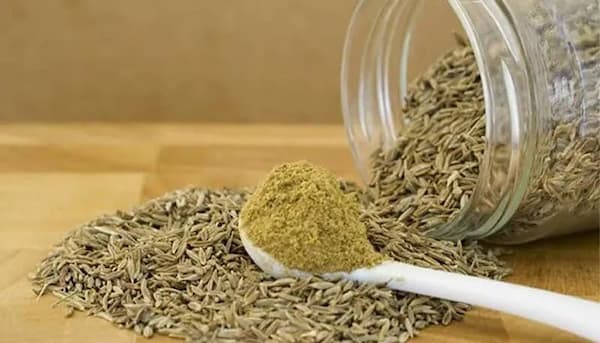 تصویر 5 از قیمت خرید زیره سبز پودر شده + فروش ویژه