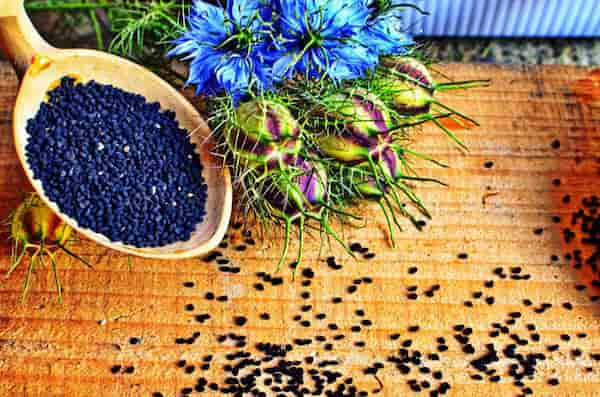 تصویر 1 از قیمت خرید زیره سیاه کاشتنی + فروش ویژه