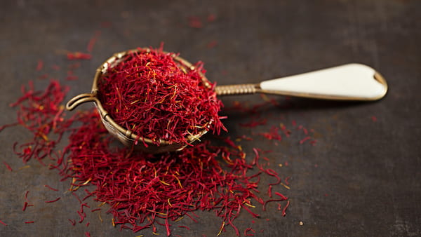 تصویر 5 از قیمت زعفران نگین سنتی + خرید باور نکردنی