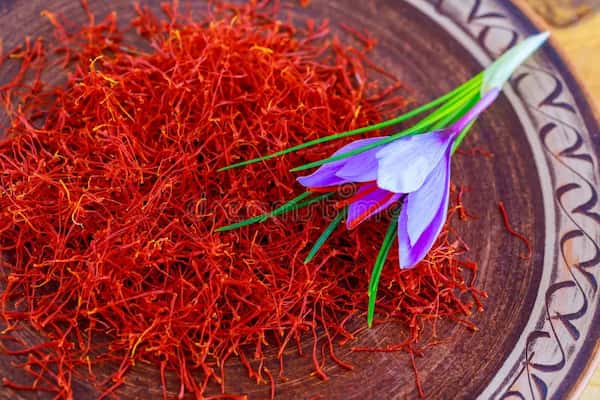تصویر 2 از قیمت زعفران نگین سنتی + خرید باور نکردنی