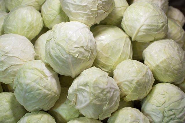 کلم سفید درجه یک ویژه سوپ و خورشت