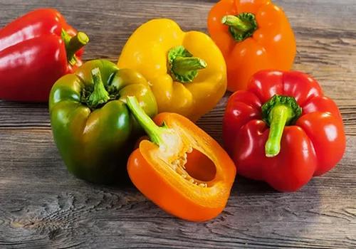 خرید و قیمت فلفل دلمه ای شیرین + فروش صادراتی