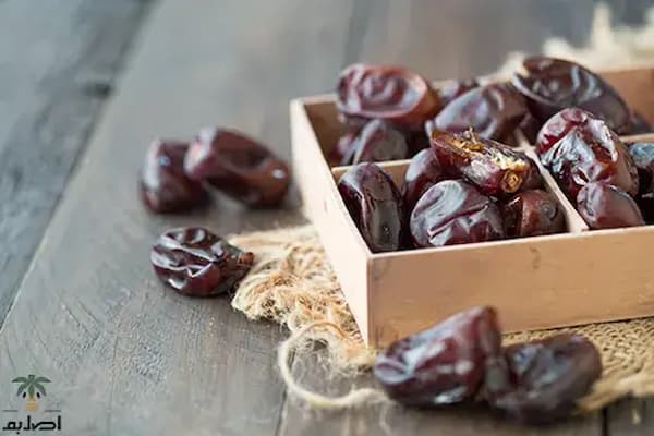 قیمت خرما مضافتی بم با کیفیت ارزان + خرید عمده