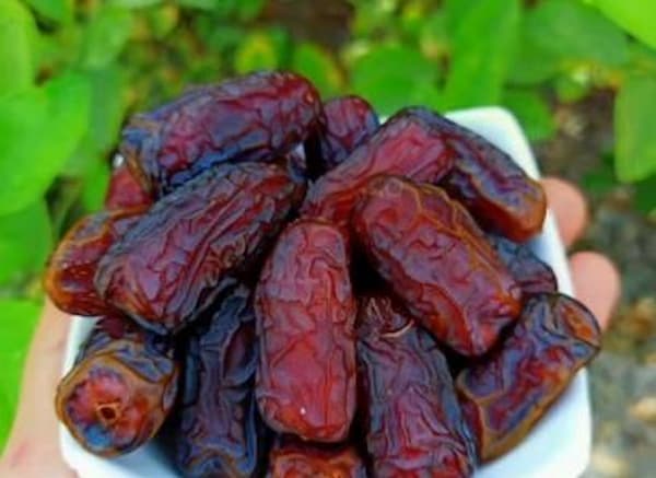 تصویر 1 از قیمت خرما پیارم صادراتی + خرید باور نکردنی