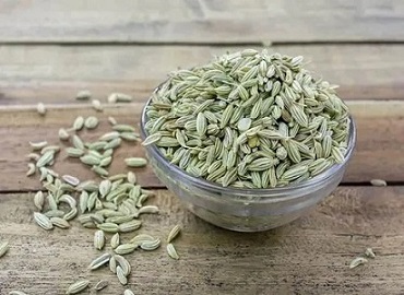 تصویر 5 از خرید زیره سبز مشهد + قیمت فروش استثنایی