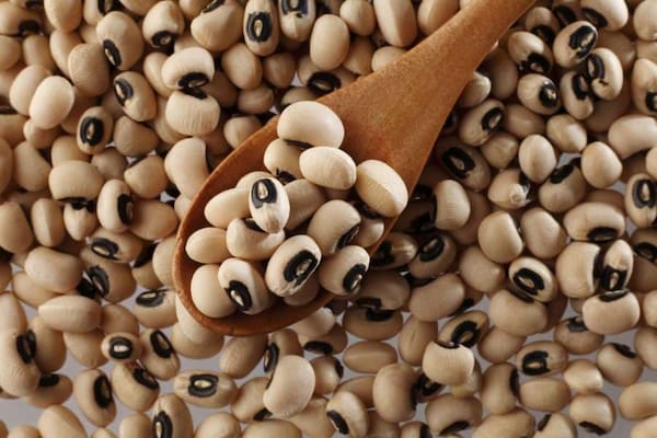 تصویر 4 از قیمت لوبیا چشم بلبلی شیرازی با کیفیت ارزان + خرید عمده