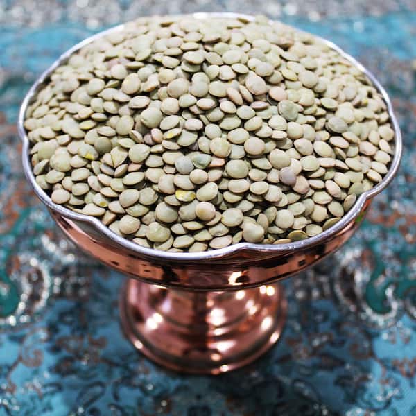 قیمت خرید عدس درشت ایرانی با فروش عمده