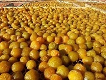 تصویر 4 از معرفی آلو حاج حسنی + بهترین قیمت خرید