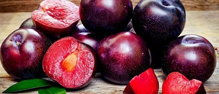 تصویر 5 از قیمت آلو قندی افتابی + پخش تولیدی عمده کارخانه