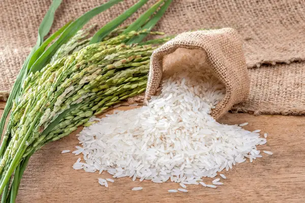 تصویر 1 از بهترین برنج هاشمی درجه یک + قیمت خرید عالی
