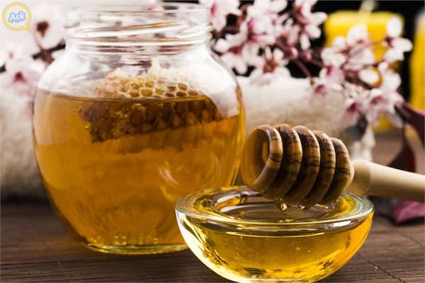 تصویر 5 از قیمت خرید عسل کنار سال + فروش ویژه