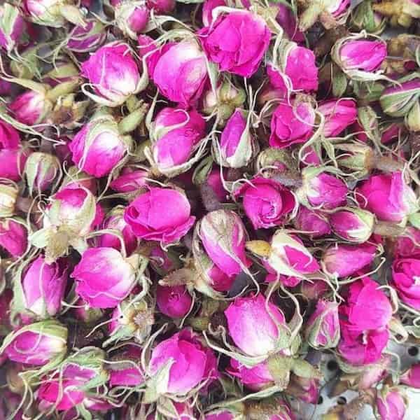 تصویر 5 از خرید غنچه گل محمدی کرمان + قیمت فروش استثنایی