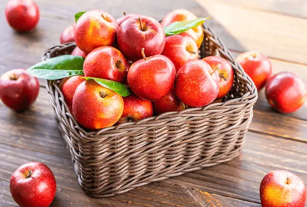 تصویر 3 از قیمت سیب قرمز پاییزه عمده + خرید
