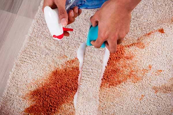 تصویر 3 از فروش مایع قالیشویی کالیسمان + قیمت خرید به صرفه