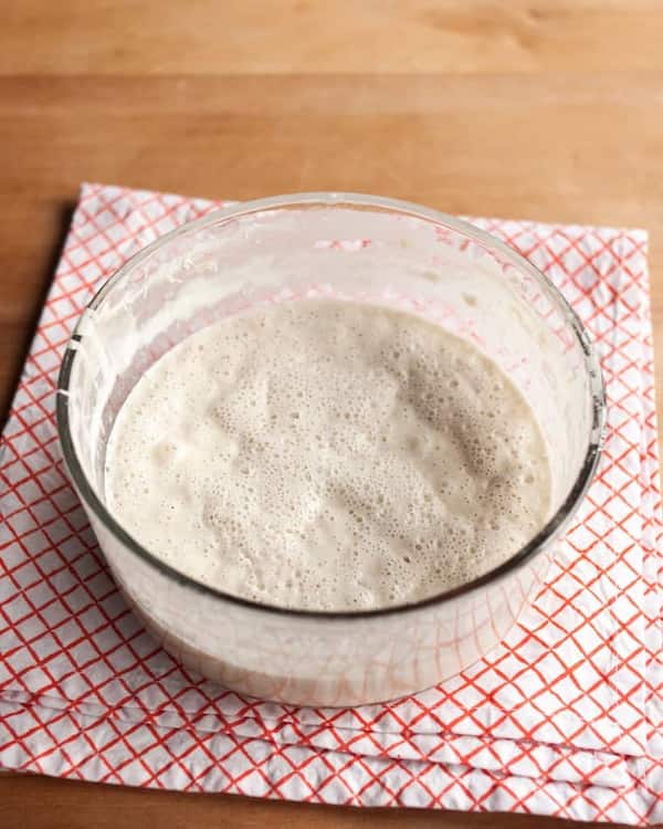 تصویر 3 از قیمت خرید خمیر مایه تر صفا مایه + فروش ویژه