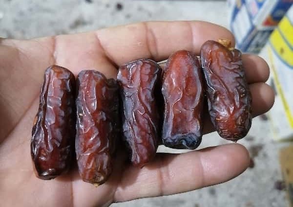 تصویر 3 از خرید و قیمت خرما پیارم صادراتی  + فروش عمده